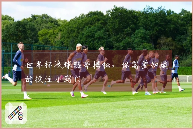 世界杯滚球赔率揭秘，你需要知道的投注小窍门