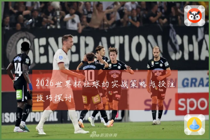 2026世界杯让球的实战策略与投注技巧探讨