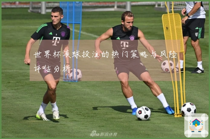 世界杯滚球投注的热门策略与风险评估分析
